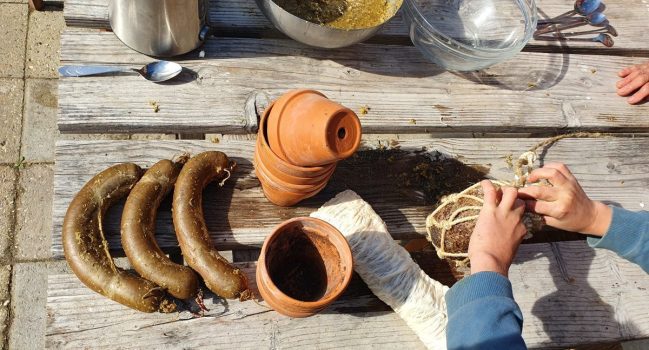 Preparatendag: eikenschors en bereiden en ingraven preparaten voor het winterhalfjaar