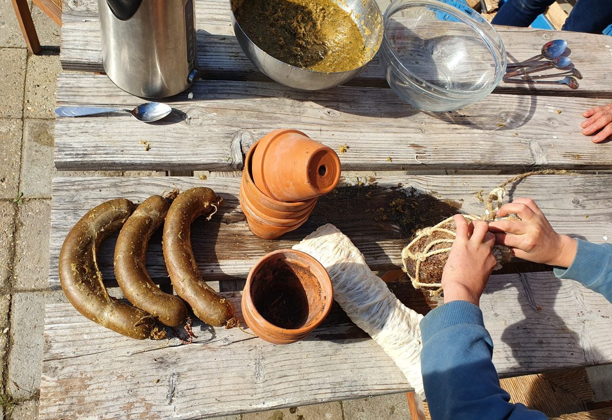 Preparatendag: eikenschors en bereiden en ingraven preparaten voor het winterhalfjaar