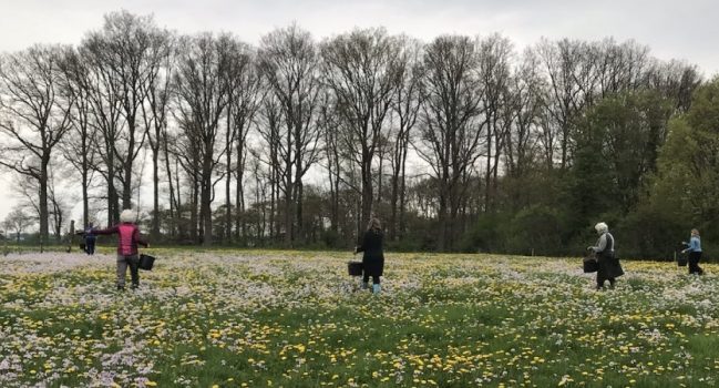 Nieuwe preparatendagen gepland: 14, 22 en 25 mei en verder