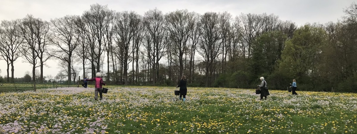 Nieuwe preparatendagen gepland: 14, 22 en 25 mei en verder