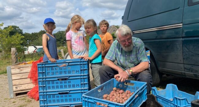 Aardappelen in de aanbieding!