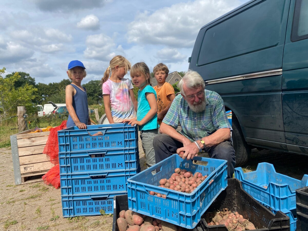 Aardappelen in de aanbieding!