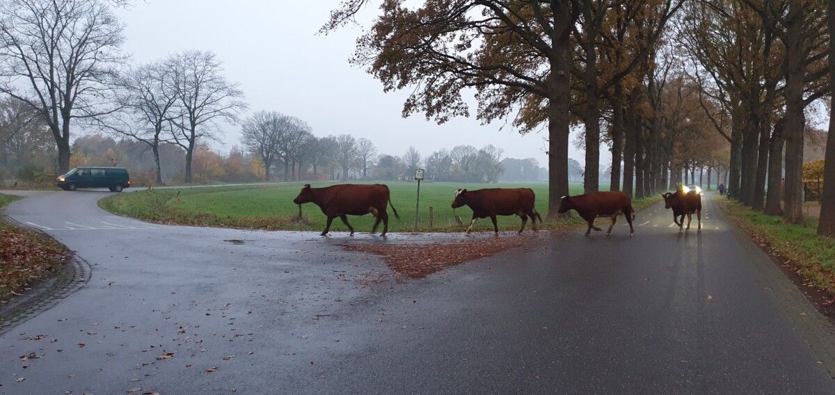 Wat er zoal op de boerderij gebeurde