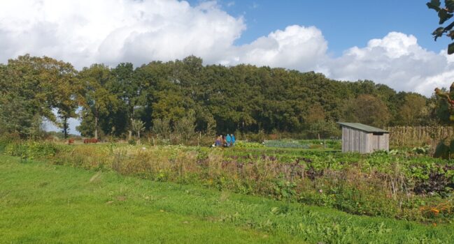 Preparatendag op De Hommelhoeve