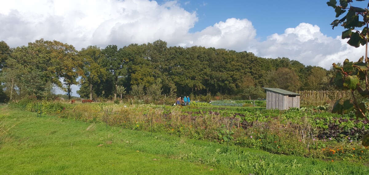 Preparatendag op De Hommelhoeve