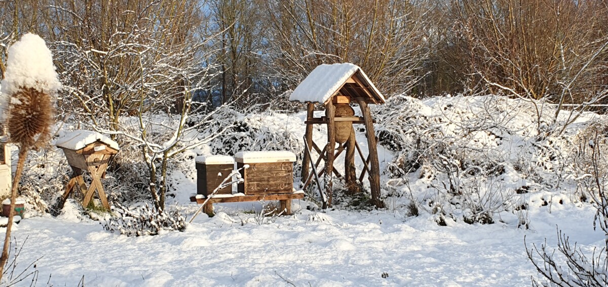 Winter op De Hommelhoeve