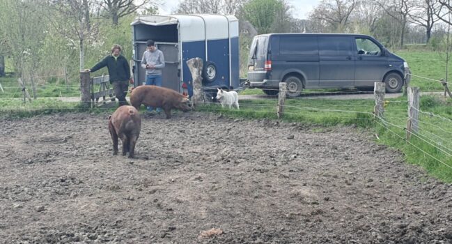 Hoog bezoek voor Beertje