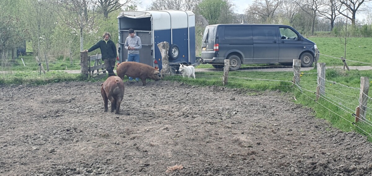 Hoog bezoek voor Beertje
