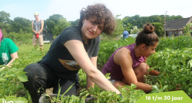WoesteLand Jongerenweekend op De Hommelhoeve