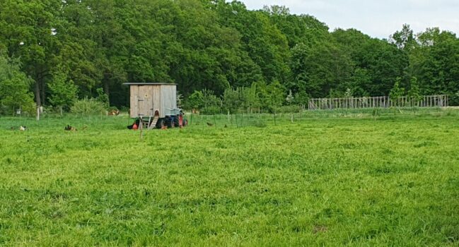 Natuurwerkdag op De Hommelhoeve
