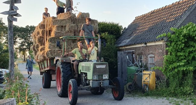 Oogst: hooi, stro, graan en heel veel groente